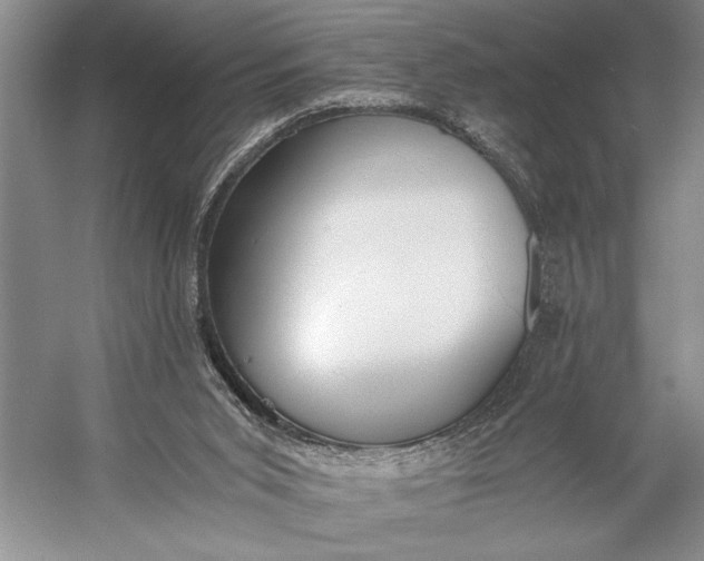 X0000056360015200509161840