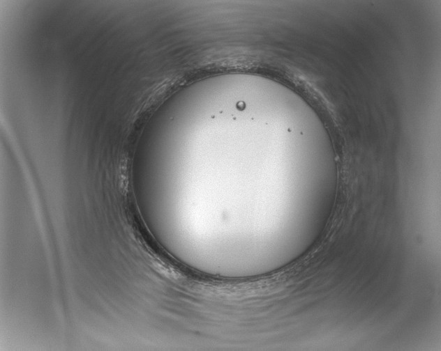 X0000056360017200509161840