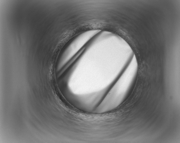 X0000056360018200509161840