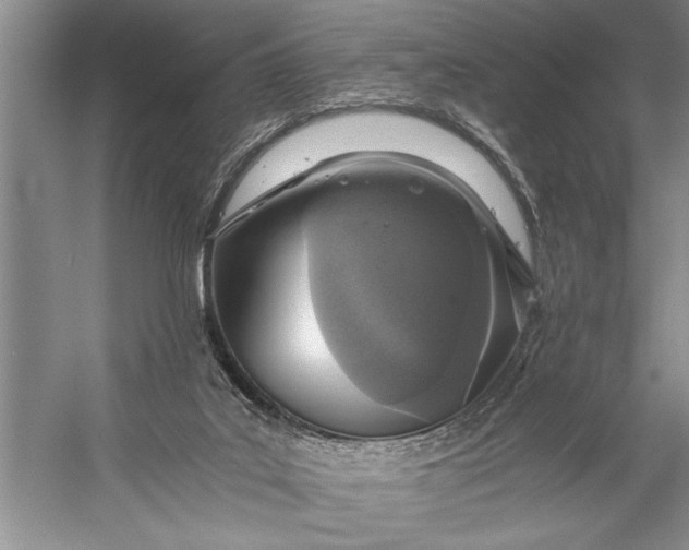 X0000056360019200509161840