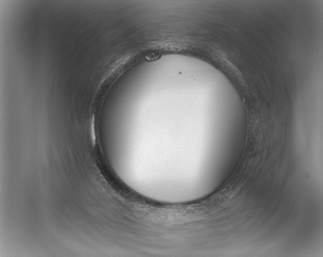 X0000056360020200509161840