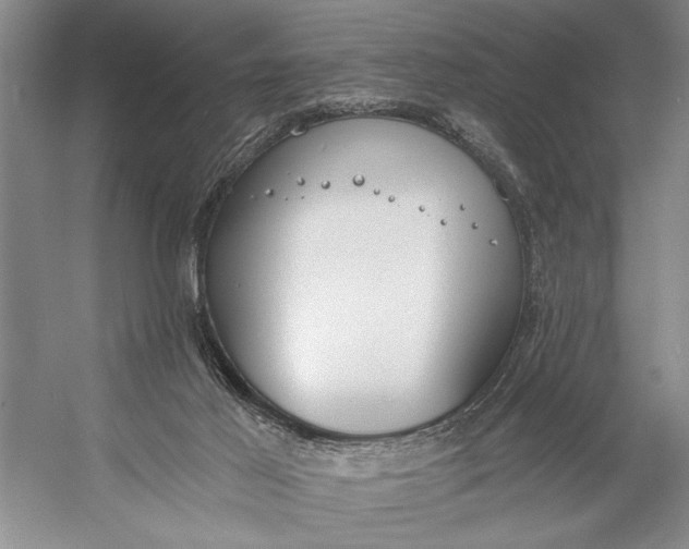 X0000056360021200509161840