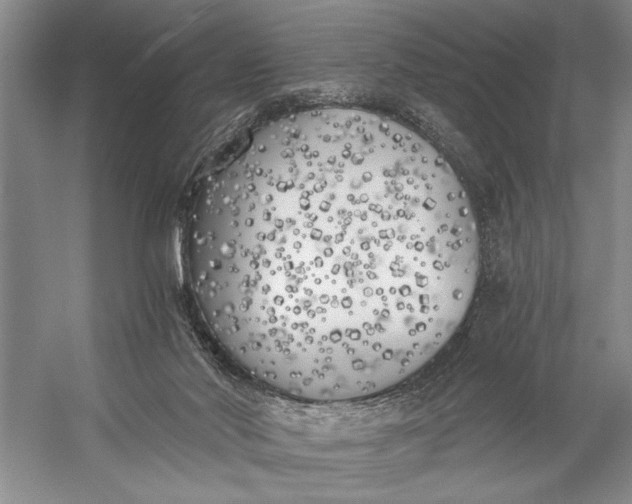 X0000056360022200509161840