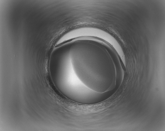 X0000056360023200509161840