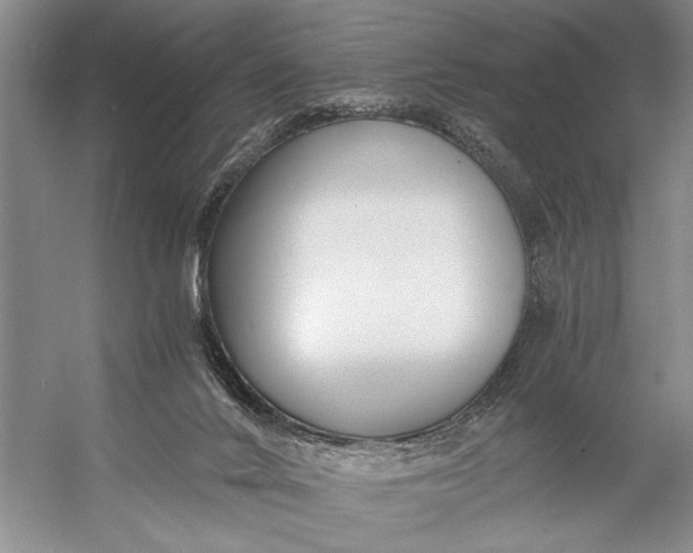 X0000056360024200509161840