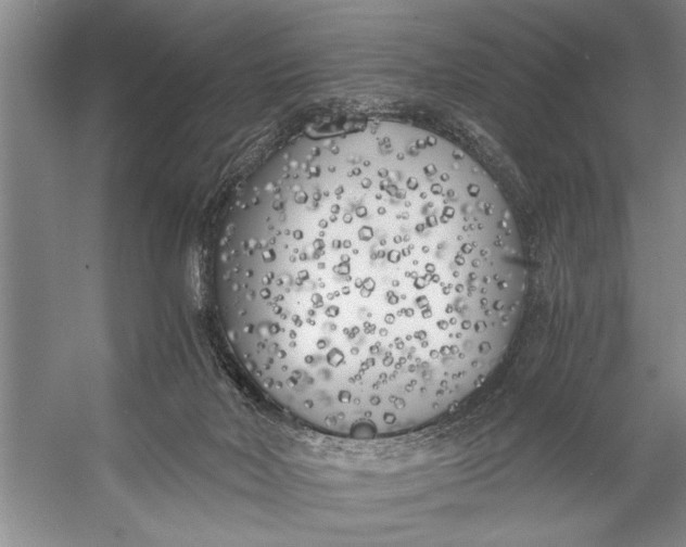 X0000056360026200509161840