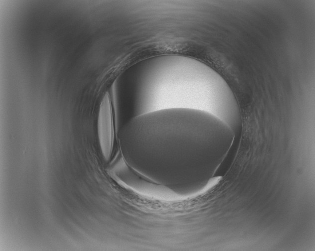 X0000056360027200509161840