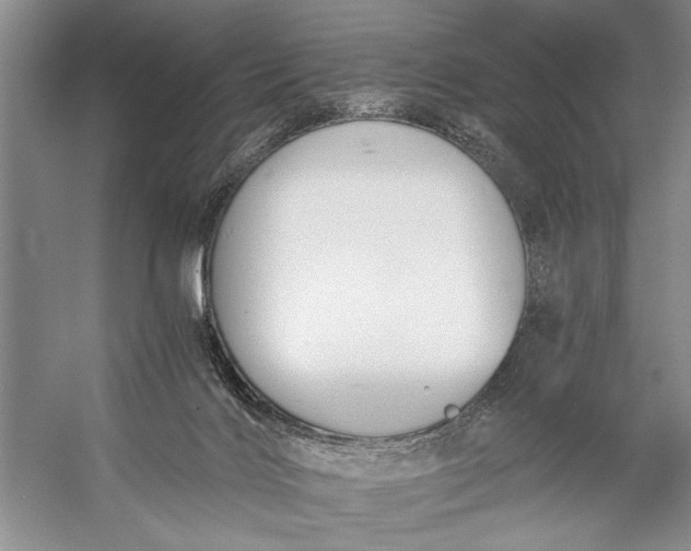 X0000056360028200509161840