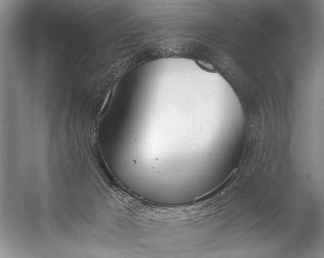 X0000056360029200509161840