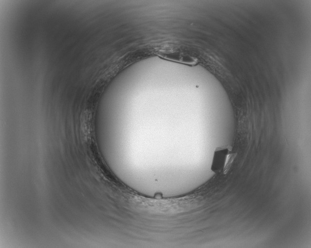 X0000056360030200509161840