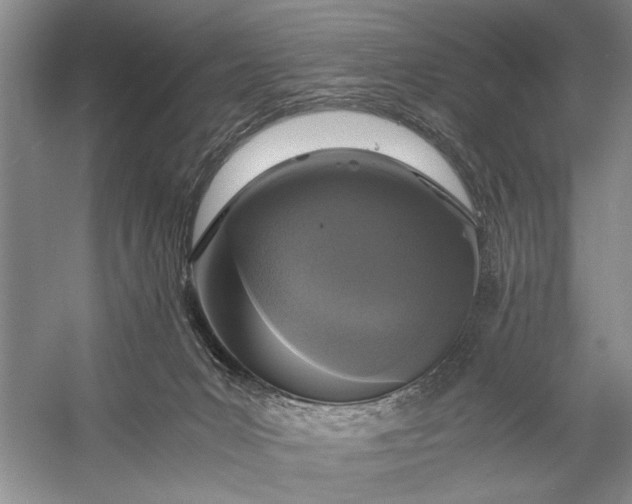 X0000056360031200509161840