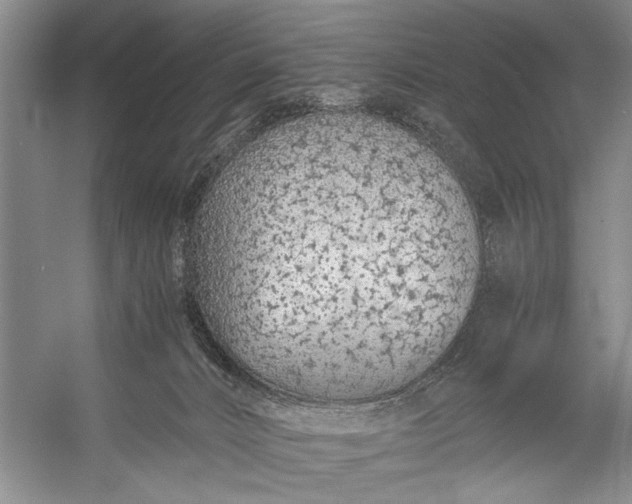 X0000056360032200509161840