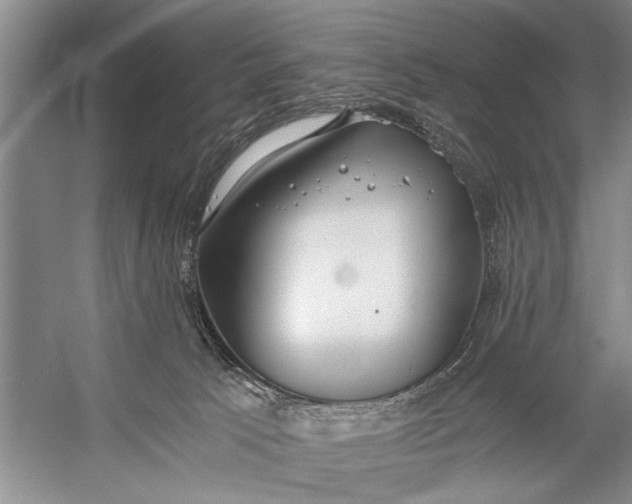 X0000056360033200509161840