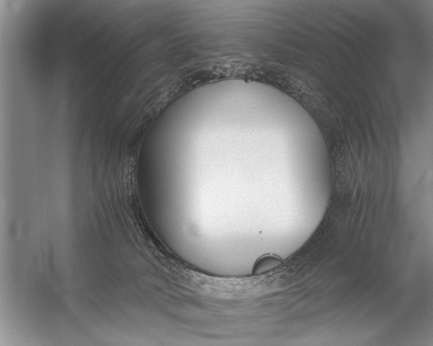 X0000056360034200509161840