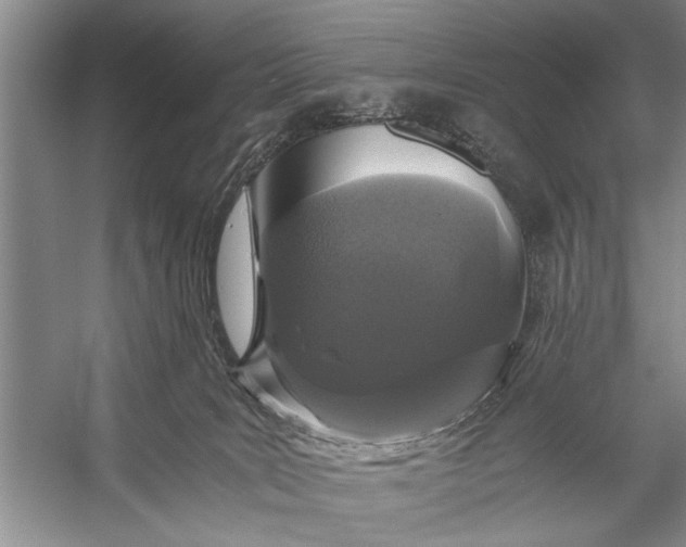 X0000056360035200509161840