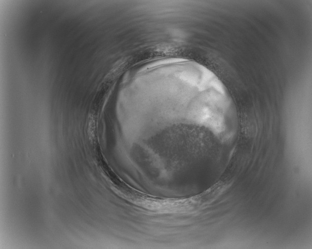 X0000056360036200509161840