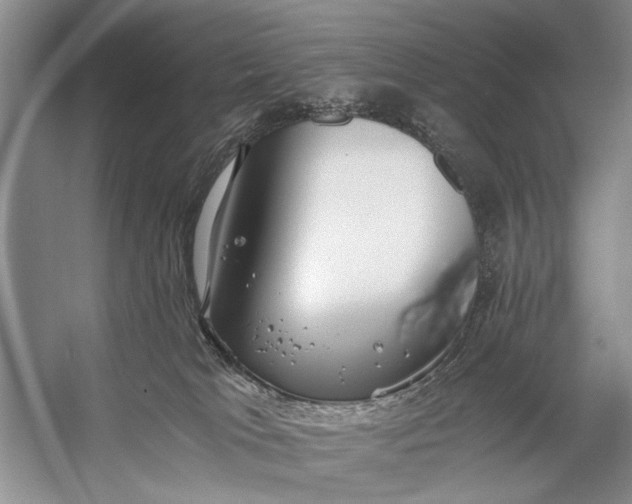 X0000056360037200509161840