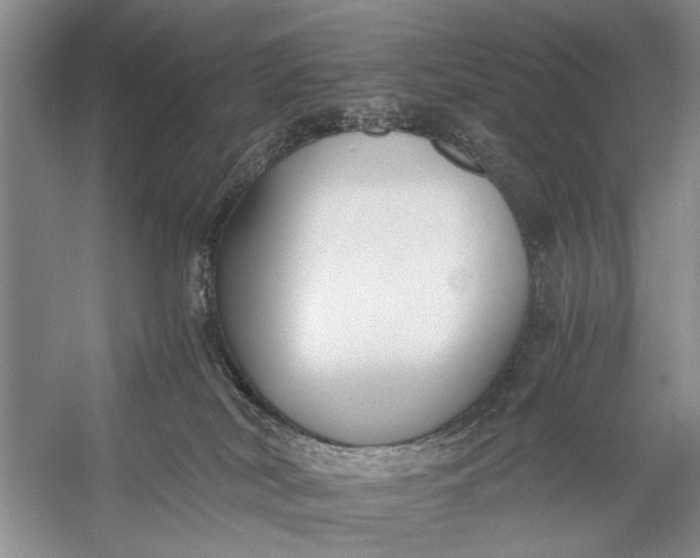 X0000056360038200509161840