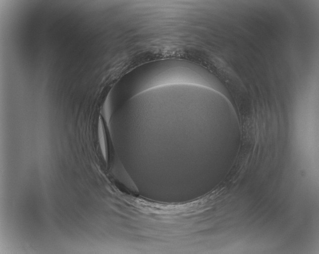 X0000056360039200509161840