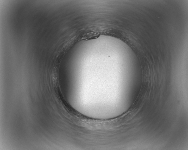 X0000056360040200509161840