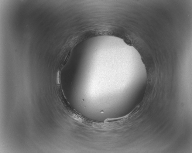 X0000056360041200509161840