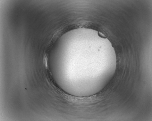 X0000056360042200509161840