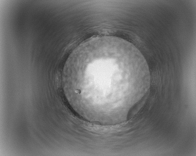 X0000056360043200509161840