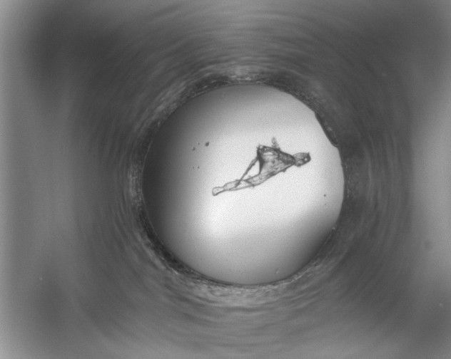 X0000056360044200509161840