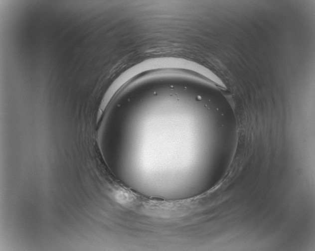 X0000056360045200509161840