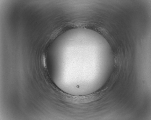 X0000056360046200509161839