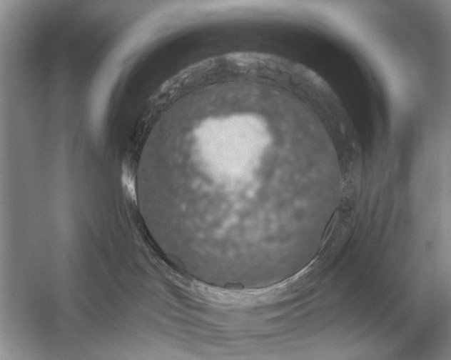 X0000056360047200509161839