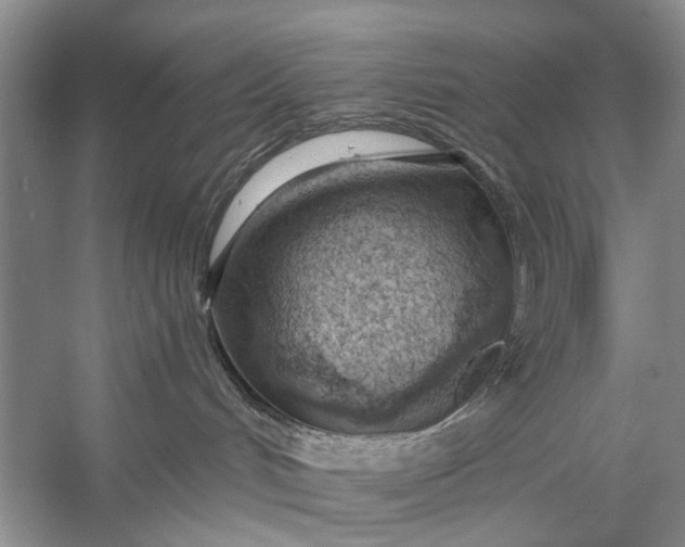 X0000056360048200509161839