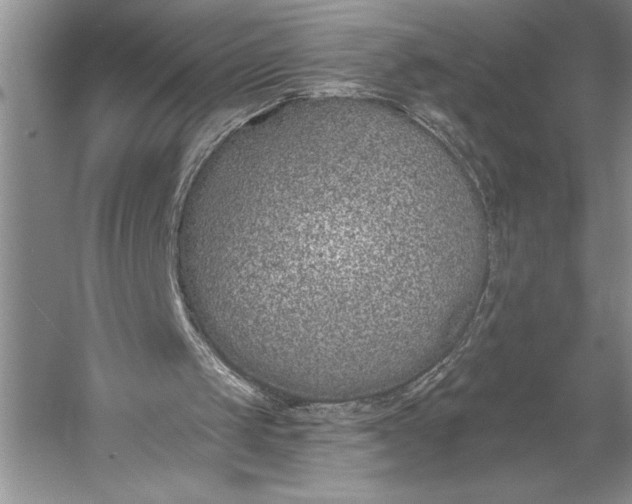 X0000056360049200509161839