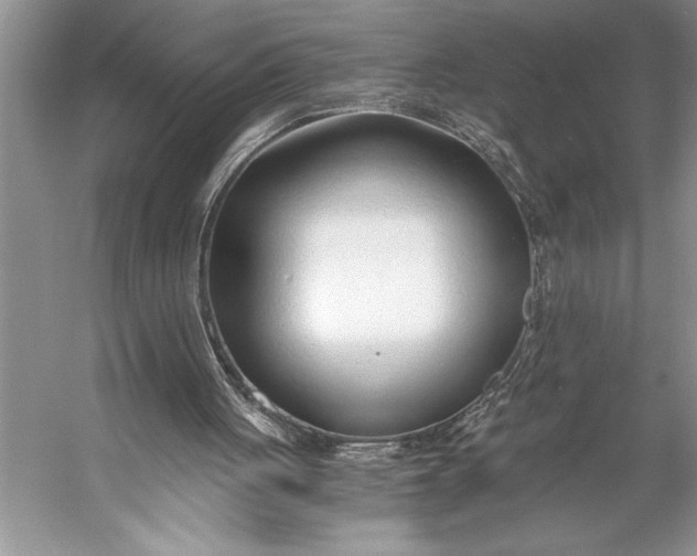 X0000056360051200509161839