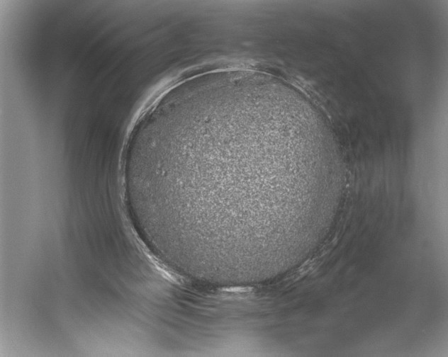 X0000056360053200509161839