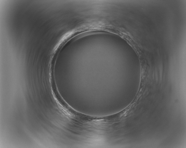 X0000056360054200509161839