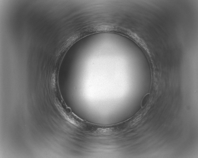 X0000056360057200509161839