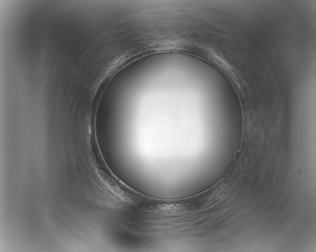 X0000056360059200509161839