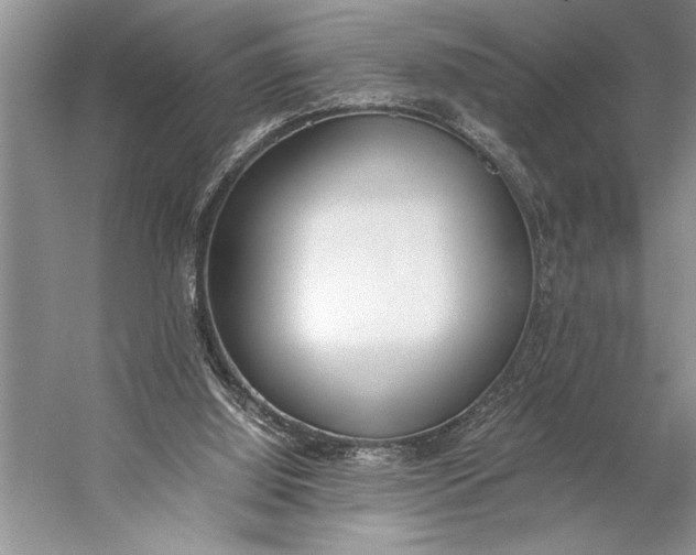 X0000056360060200509161839