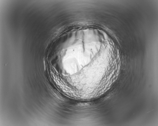 X0000056360061200509161839