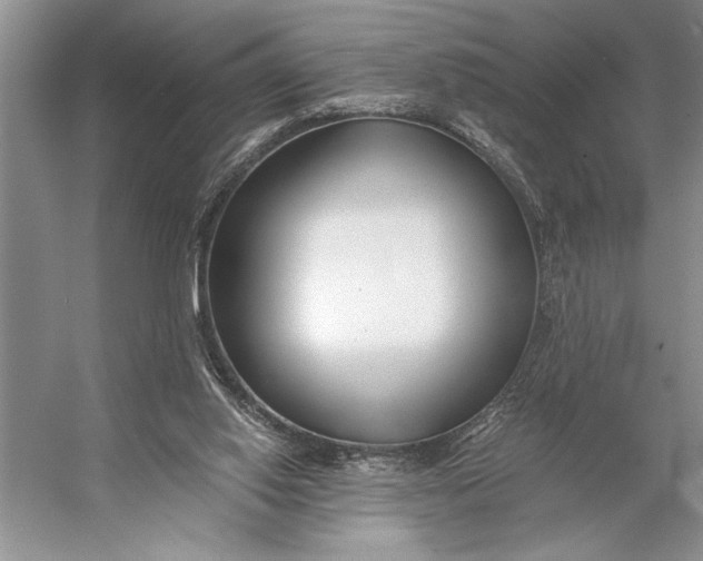 X0000056360062200509161839