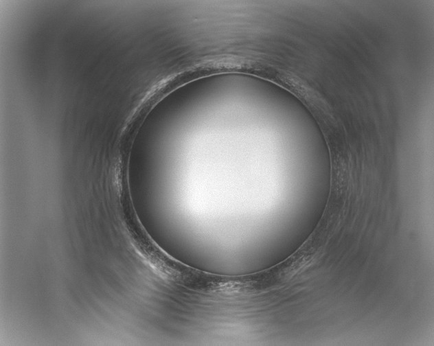 X0000056360064200509161839