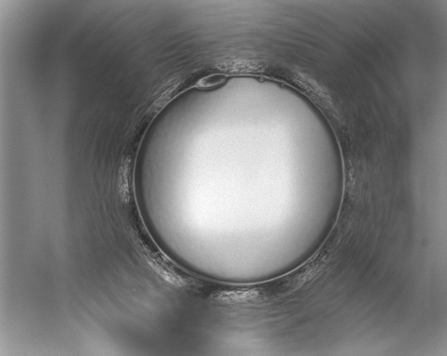 X0000056360065200509161839