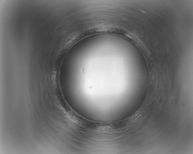 X0000056360066200509161839