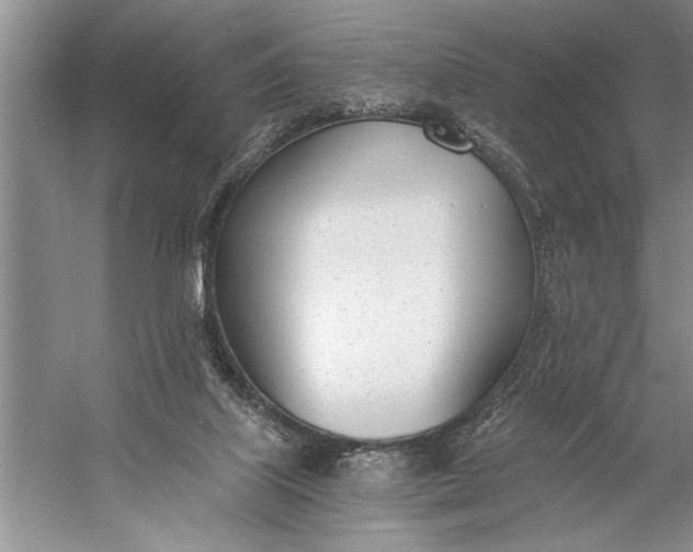 X0000056360067200509161839