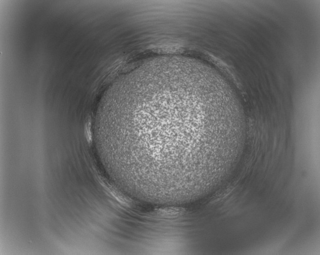 X0000056360069200509161839