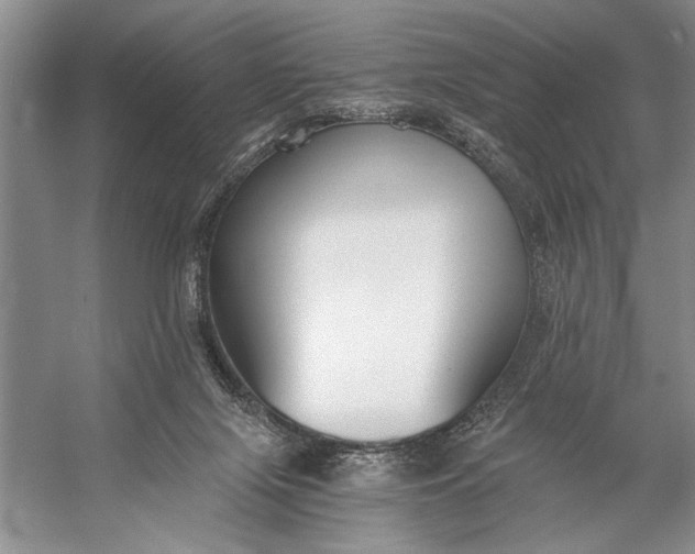 X0000056360071200509161839