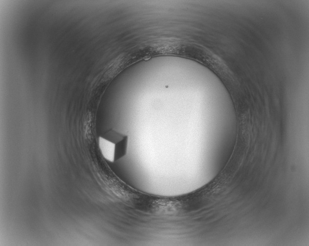 X0000056360073200509161839