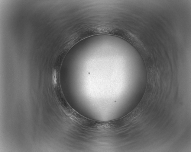 X0000056360075200509161839