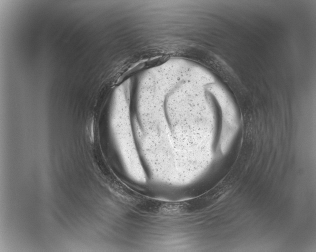 X0000056360076200509161839